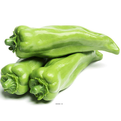 Poivron Vert